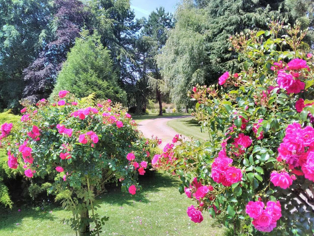 Normandy Vip Villa Trevieres Eksteriør bilde